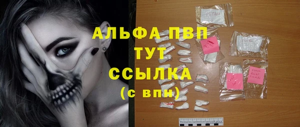 прущие грибы Медвежьегорск