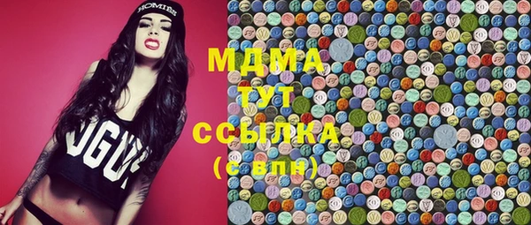 прущие грибы Медвежьегорск
