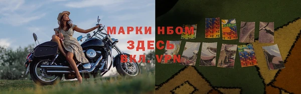 гидра Медногорск