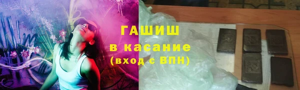 прущие грибы Медвежьегорск