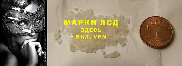 прущие грибы Медвежьегорск