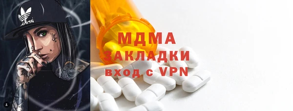прущие грибы Медвежьегорск