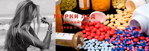 прущие грибы Медвежьегорск