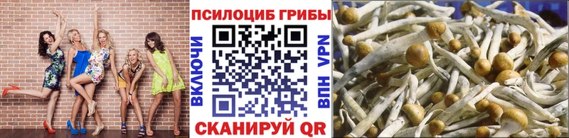 Псилоцибиновые грибы ЛСД  Воронеж 