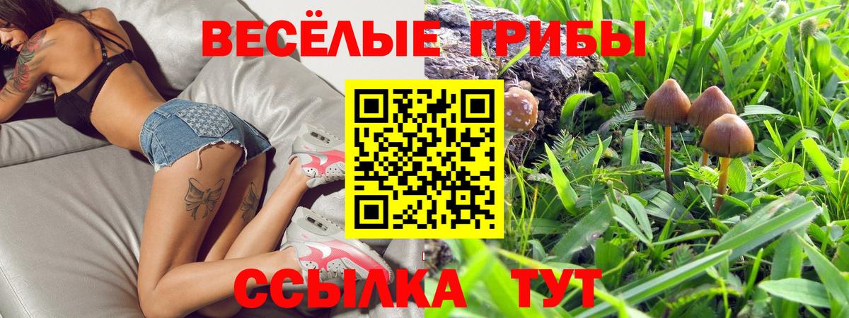Воронеж  Галлюциногенные грибы Psilocybe  Псилоцибиновые грибы Psilocybine cubensis  Вход с VPN 